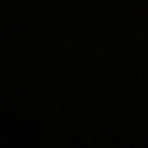 Meet your Posher, Adrienne